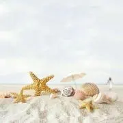 Therapy⭐プロフ必読の画像