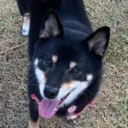 あっこっこ