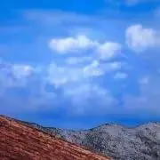 デブ猫 .:*・'(*゜▽゜*)'・*: