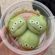シソチョウの画像