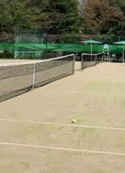 シマの画像