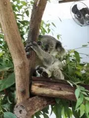 k.kの画像