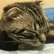 ぼうの画像