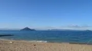 きょんの画像