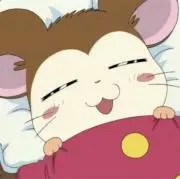 みの画像