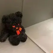 おこめの画像