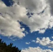 丸の画像