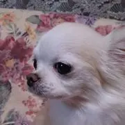 Mackeyの画像