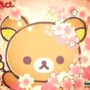 Sakura-nr