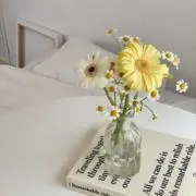 ⭐︎ゆめいろ⭐︎の画像