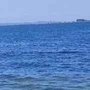 しもっちの画像