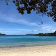 Makokoの画像