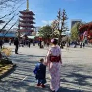 ヤンマーの画像