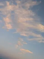 りあるごーるどの画像