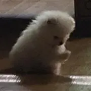 유키리리の画像