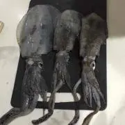 ゆうじ