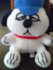 ゆかりの画像