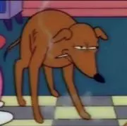 RealAustrasiaの画像