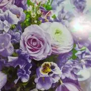 オリーブの画像