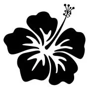 超メル市セール28日8時〜毎週日・月発送の画像