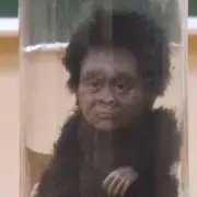 わっさ