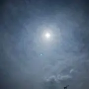 断捨離。ユースケの画像