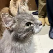 ゆうの画像