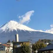 MINTIAの画像
