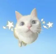 ★の画像