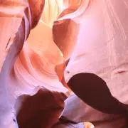 すずらんの画像