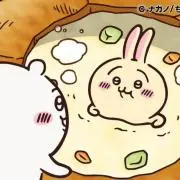 うさぎの画像