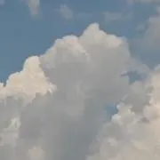 きつねの画像