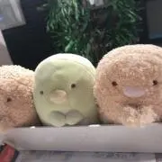 mame mameの画像