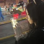 菜衣の画像