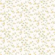 ぜんの画像