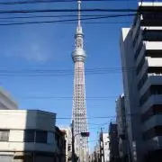 ハナコの画像