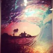 SEAの画像