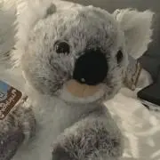 舞