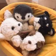 ゆの画像