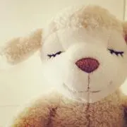 チョコの画像