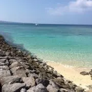 ちゃんこの画像