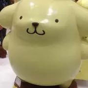 Hachiの画像