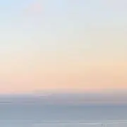 Mの画像