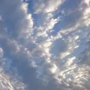 はらの画像