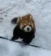 すんの画像