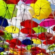 かちの画像