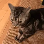 きいこ★