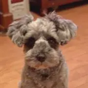めーるーかーりの画像