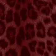 jw9★プロフお読みください★