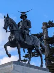 はかせの画像